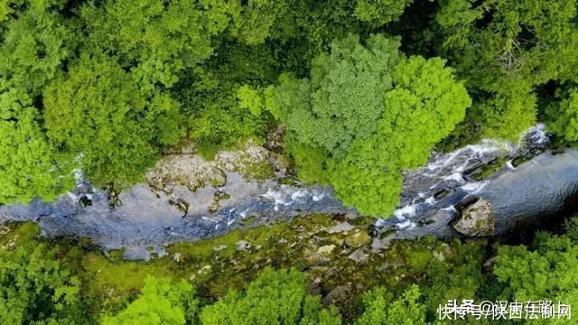 汉中|自驾游去哪儿?来汉中这里感受绝美的初夏风光