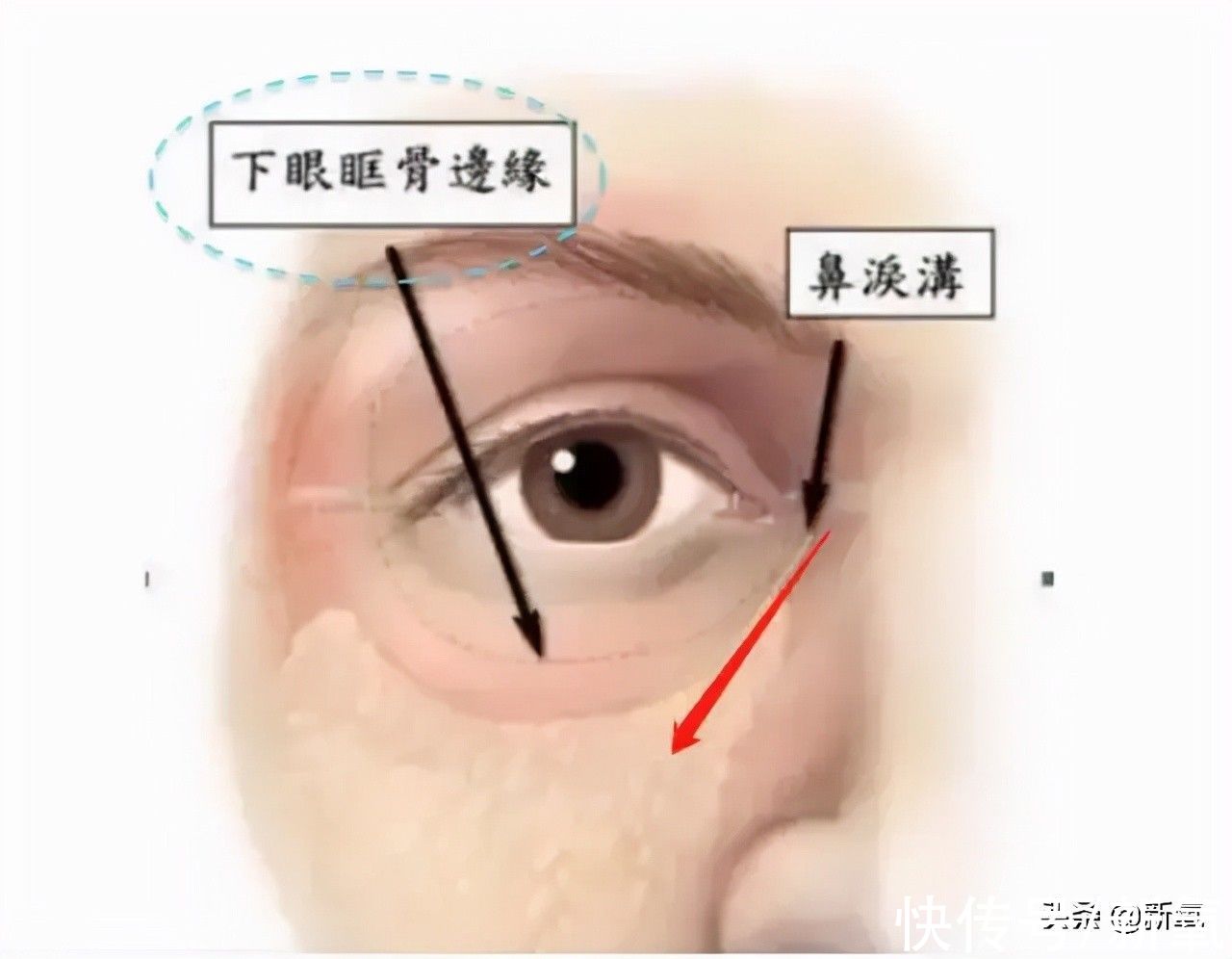 氧叔 40岁的她美商绝了