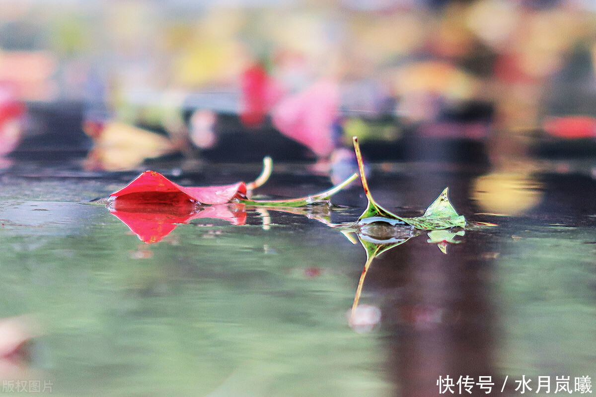  错过|雨是一生错过，雨是悲欢离合，雨是再也回不去的倾城往事