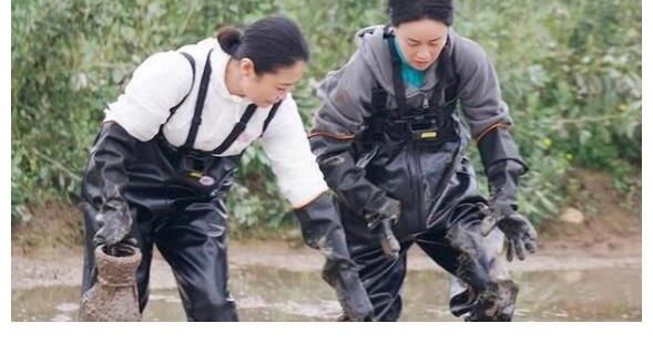 张艺兴|彭彭带救兵成功开垦三号地，带张艺兴盘下仓库，艺兴吃薯片想杨紫