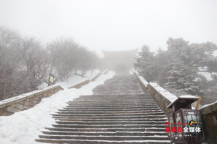 春雪满山坡，岱宗展新颜