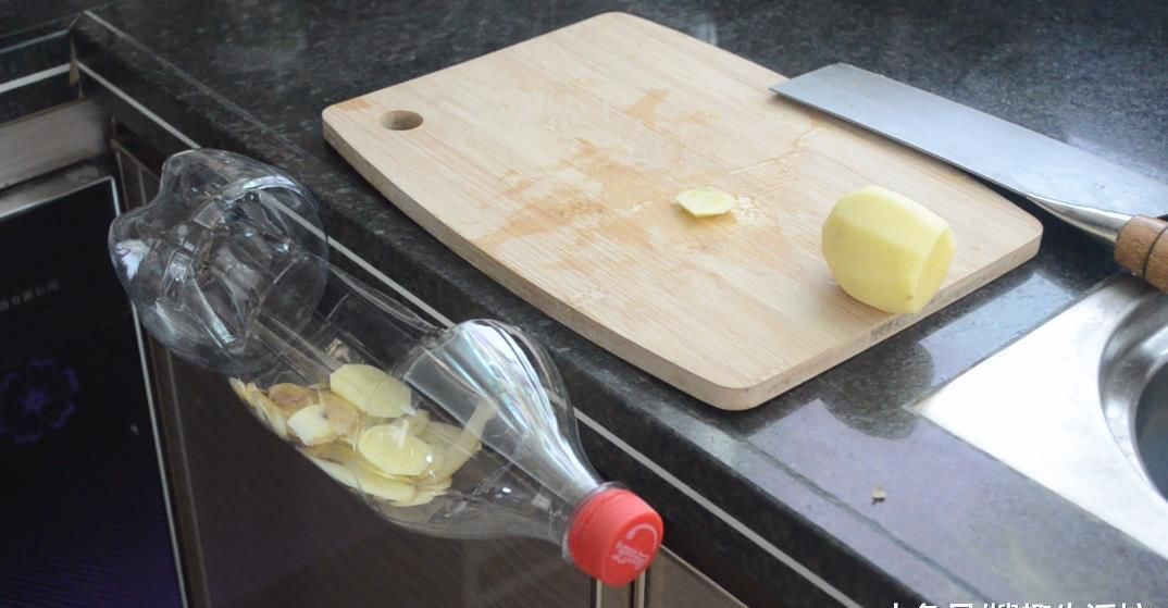 实用|大号塑料瓶别扔了, 剪一刀, 放在厨房里太实用了, 看到的人都夸好