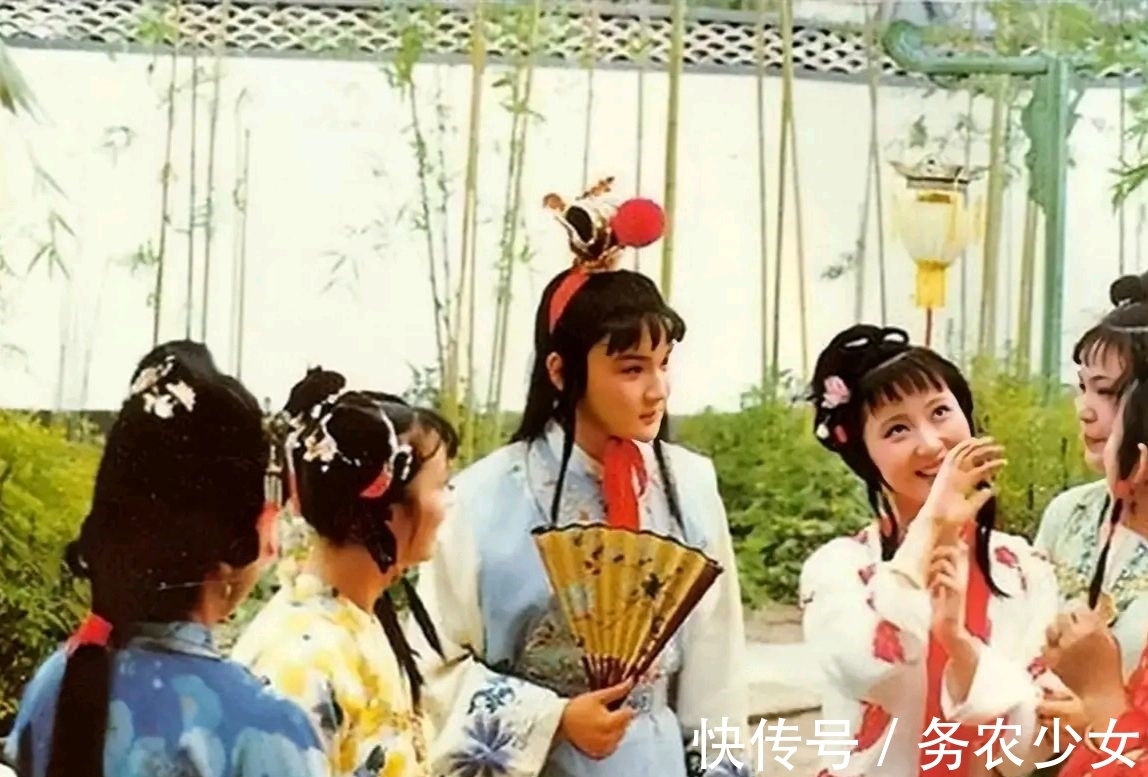 林黛玉&黛玉讽刺过刘姥姥是母蝗虫,宝钗也暗指过贾母没见过世面,为何?