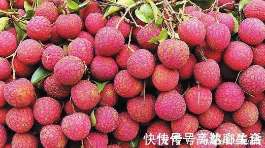 萃枫苷|想长寿要先会吃，3种食物没事吃点，补充营养，身体棒棒哒！