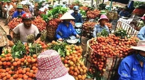 越南和韩国“失宠”后，中国游客扑向这两个地方，当地人很欢迎