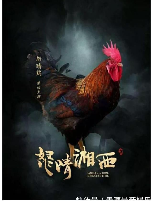 曹阿瞒!人点烛,鬼吹灯,鸡鸣不摸金。到底什么意思?有无科学依据