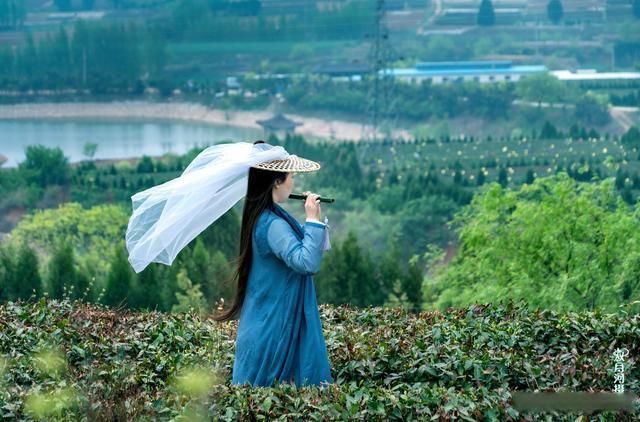 日照市五莲县潮河镇刘家坪村--茶引文化