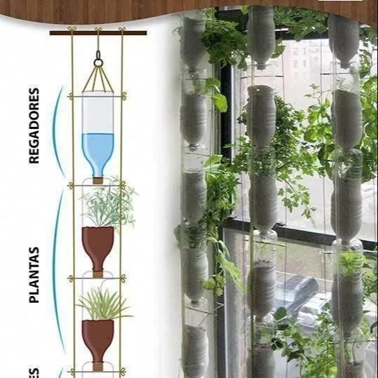  植物|没地种花种菜，没时间浇水几个塑料瓶就能解决，DIY变废为宝