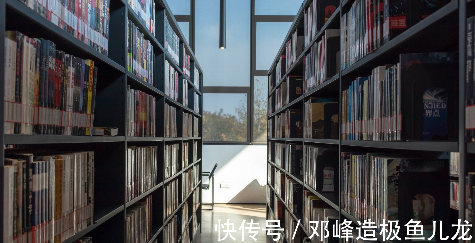 科技|“AI机器人”写诗?它们正在获得“灵魂”