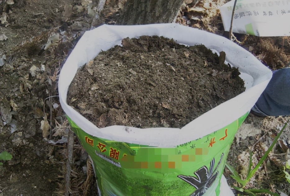 果皮|这种土是万能肥,养啥花都用得上,还不用操心烧根