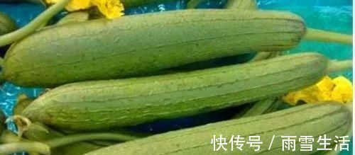 便秘|谁吃谁好的食物，男女不可错过，促进食欲，预防便秘，杀菌消炎