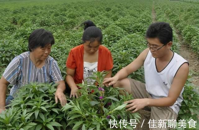 985大学|985大学生,活成一个“笑话”,父母:砸锅卖铁供他读书错了吗