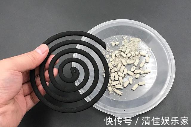 小黑飞|老花匠给的偏方,“蚊香灰”这么用,养花长得壮,也能驱虫子