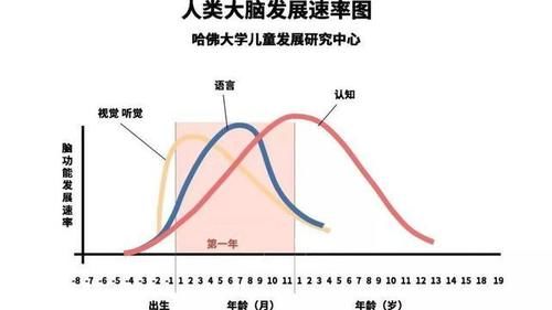 为人父母|孩子在成长中可能会有3次变聪明的机会，但要记住了跟初中没关系