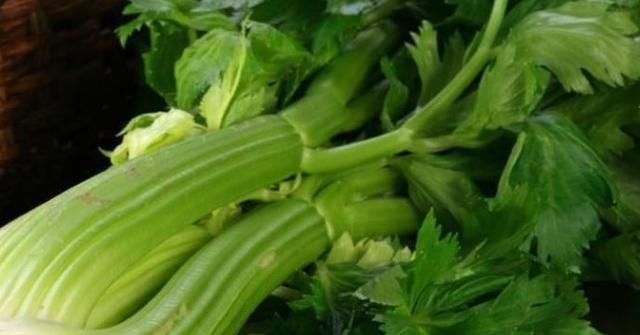 此物|忠告:芹菜不能与此物同食,吃了就是没病找病,还有人傻傻不清楚