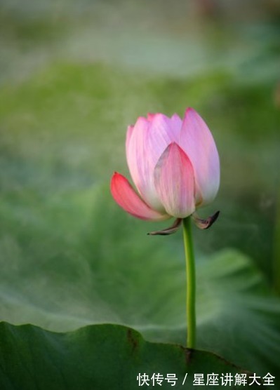 福星高照|7月中旬开始,福星高照,4属相福禄不缺,生活更上一层楼