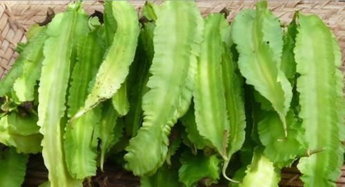 食物|人到中年想长寿，可以多吃3种食物，排毒养颜，滋润身体！