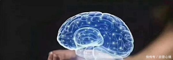 发育|哈佛心理学教授:大脑发育高峰期只有三个,为了孩子至少抓住一次