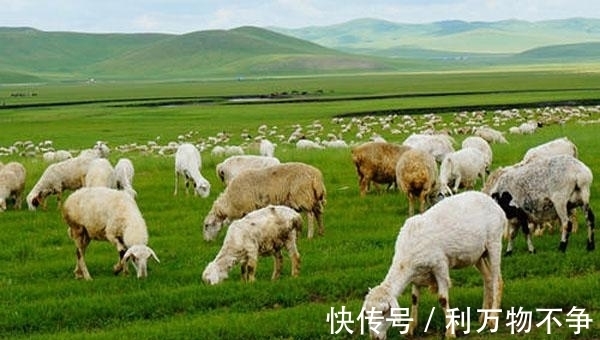 成吉思汗下达屠羊令，只为羊肉更好吃？专家分析：蒙军因此而强大