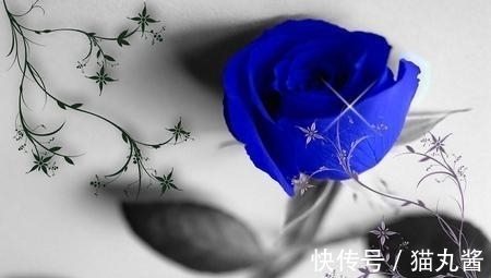 桃花喜|10月，桃花喜人笑颜到，追逐爱情获真心，主动靠近得真爱的4星座