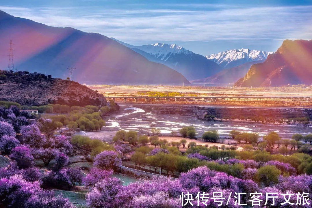 林芝|错过三月的林芝，你就错过了2022年中国最美的春天