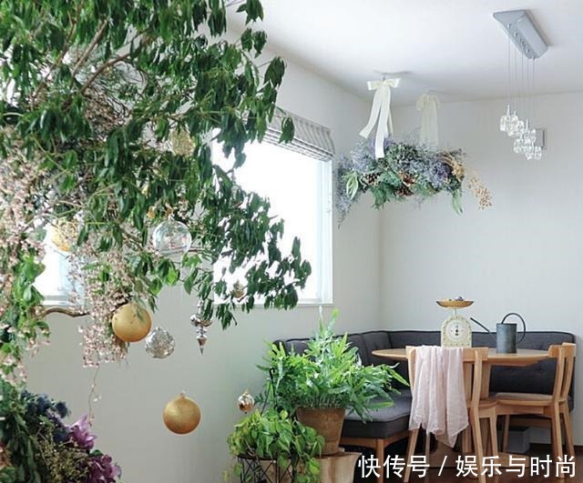 小两口之家,全屋布满绿植鲜花,把生活过成了诗,太美太治愈了!