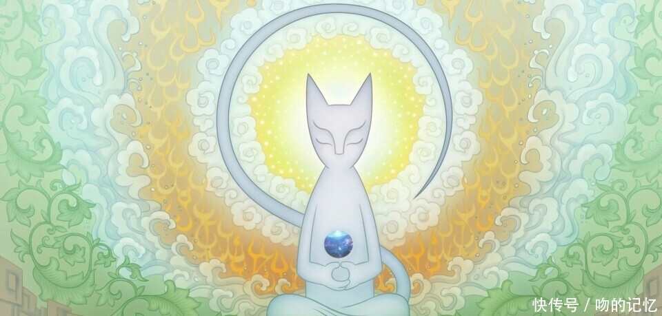 念心匣|修留下的重大问题，白糖能否完美解决？事情远没想象的简单