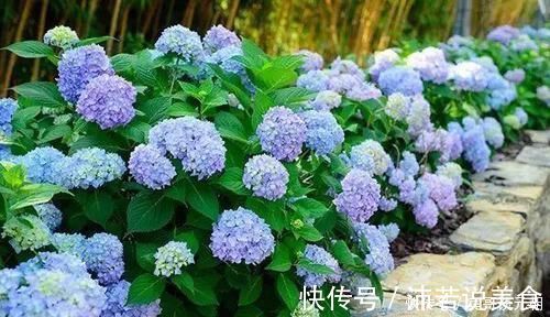 郁金香|7个绝美花园,个个美炸了天,等有钱了我也要建一个