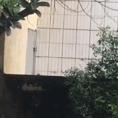 神仙树|大源北/攀成钢“升级”,神仙树“降级”…成都基准地价更新了