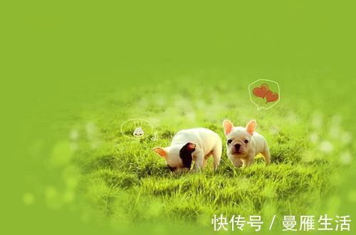 太冲脉盛|我们身体有一条经络，人的健康与衰老都跟它有关！默默给你讲清楚