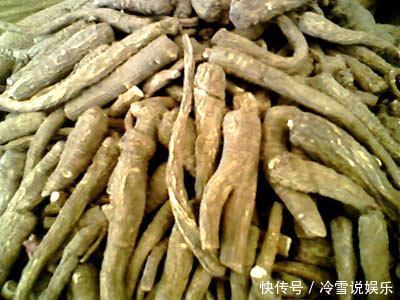 中药材|钓鱼可以用哪些中药泡酒正确选用方能钓获大鱼！