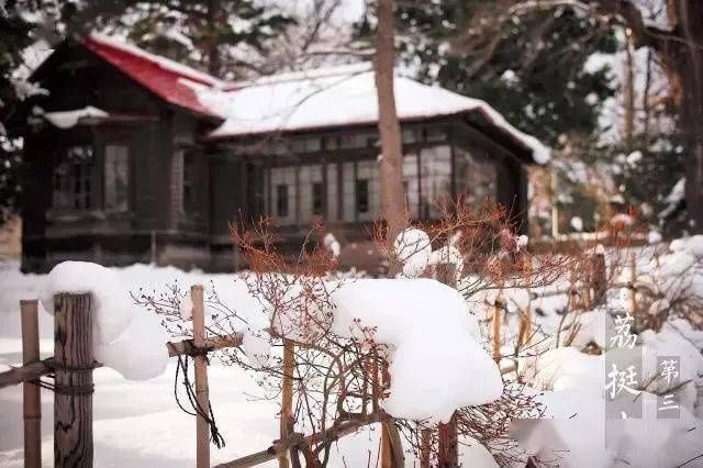  阳气|大雪 丨静皑盈藏，风雪夜归