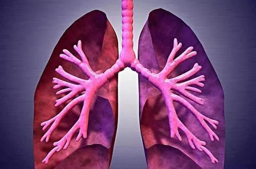 黄帝内经|5大穴位扶阳正气，再顽固的鼻炎，这样简单调理也很快痊愈了！