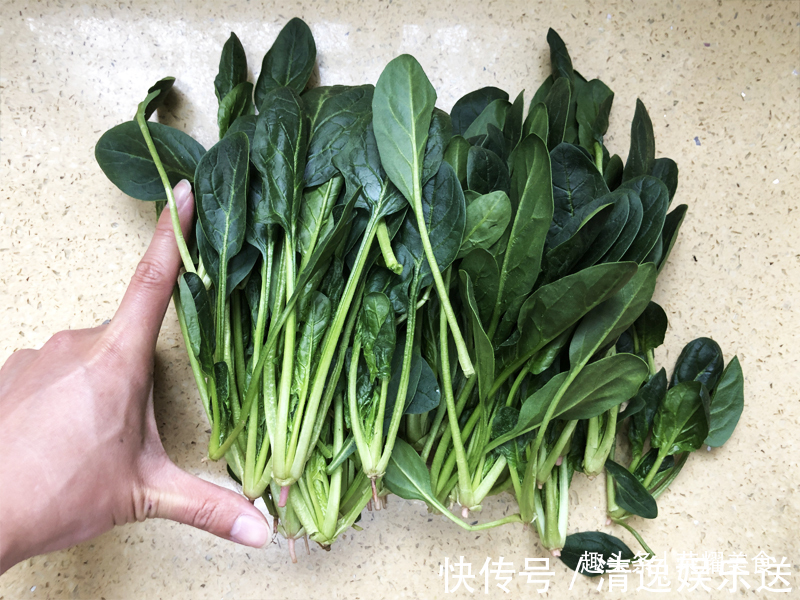 买菠菜时,选“长”还是选“短”的牢记“3不买”,别随便买了