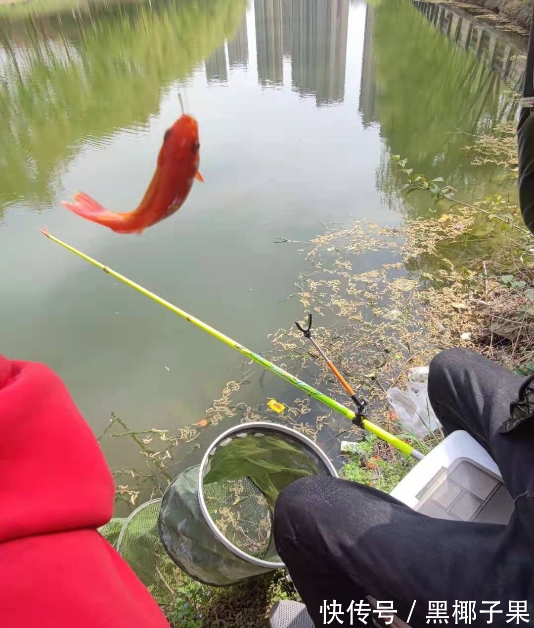 想钓好鲫鱼这些你首先要知道