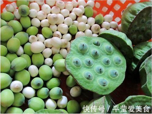 莲心茶|全身是宝,果实清甜,叶子可做茶叶,根很多人爱吃,梗也是美