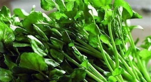 马兰头|秋天来了,推荐多吃以下食物,排毒护肝,保护血管,美味健康