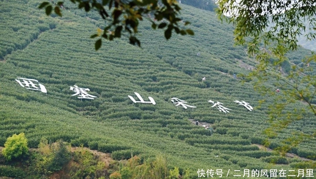 春来西塞山，我们等你来