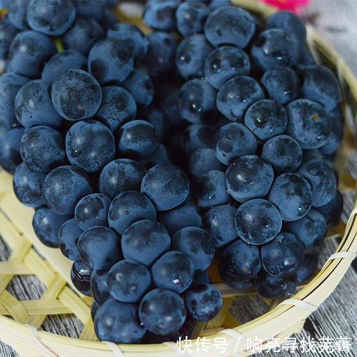 葡萄|葡萄中的贵族—夏黑葡萄,像果冻一样吸着吃