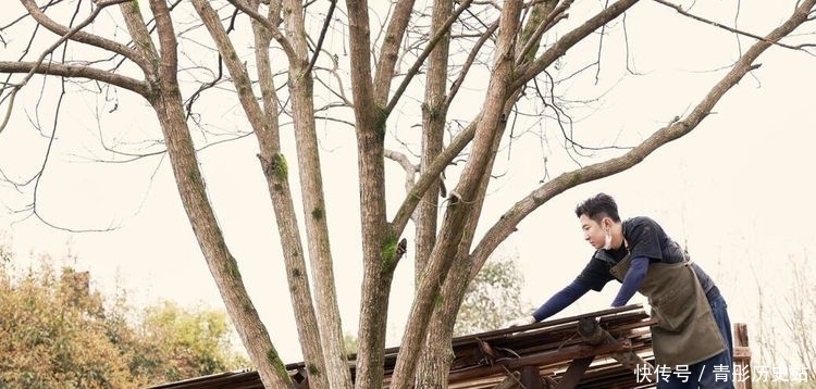 “向往的生活”预告杨紫一语道破最大难题,扯下了节目的遮羞布