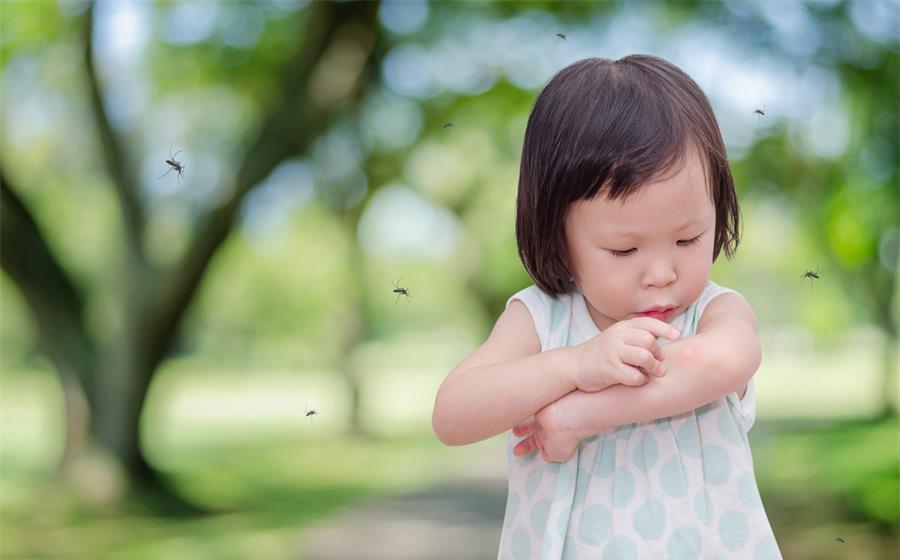 妙招|夏季如何让孩子们轻松避蚊?这些小妙招,宝妈们不妨试试