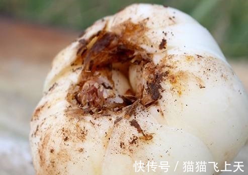 女人味|女人不想老太快，多吃这些碱性食物，激发女性激素，更有女人味！