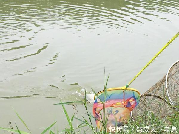老者|一竿钓出18亿，厉害了我的大爷