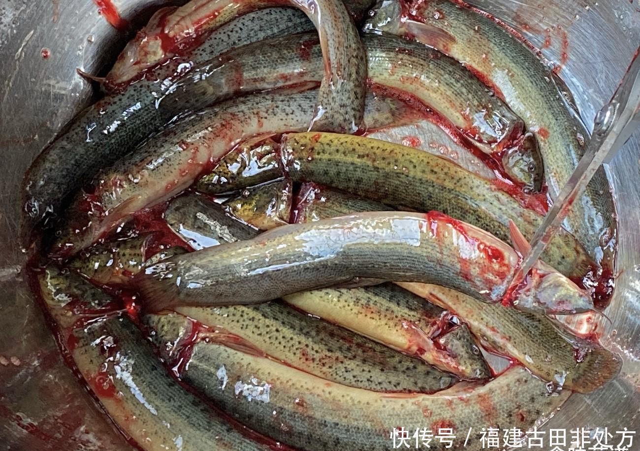 泥鳅要不要掏内脏？很多人搞不明白，为了家人的健康，不妨看一看