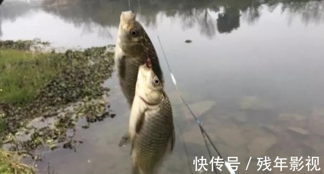 钓友|调4钓2到底还能不能行？怎么不行！别又陷入另一个误区