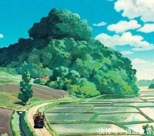 夏花|夏日秘境快来梵净山感受动画里的夏天!