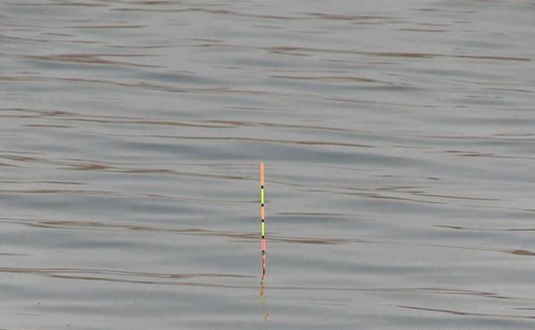 钓鱼技巧：年底了，把调漂公式总结一下，不会调漂，对着公式学习