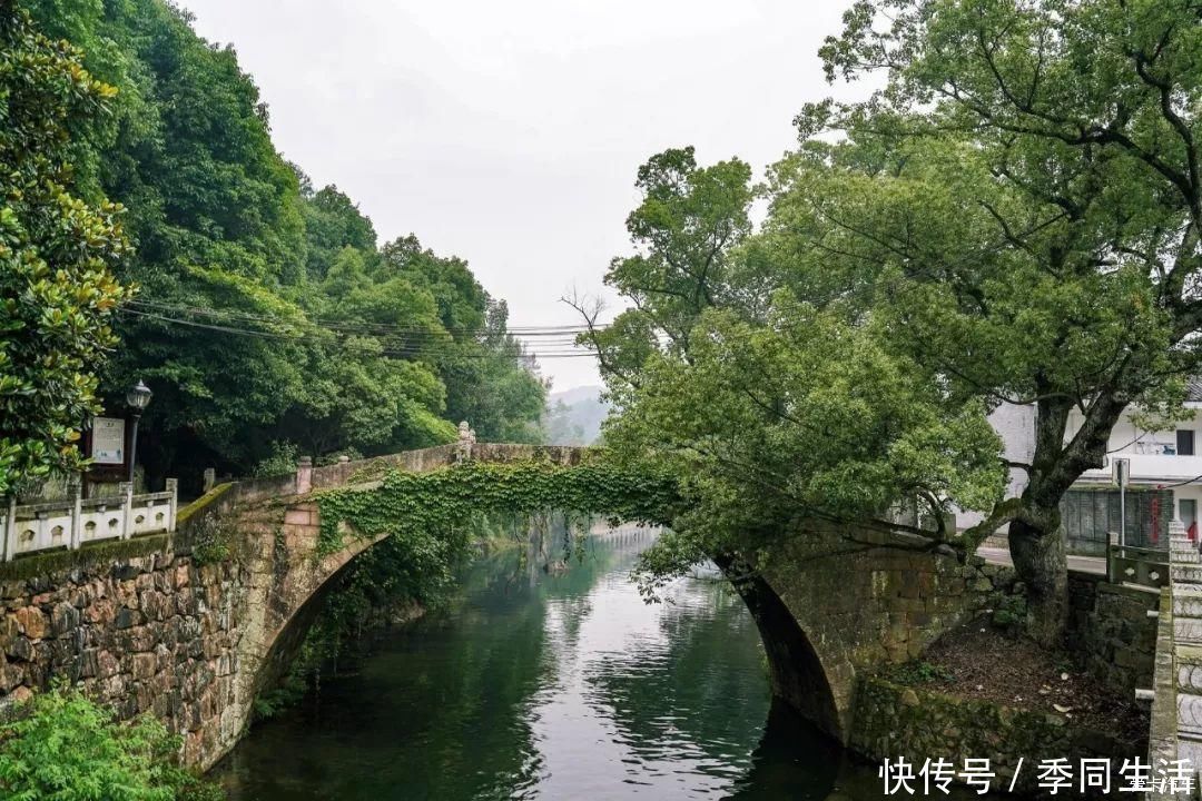 漂流|这个浙江宝藏小城，藏着碧海蓝天、森林秘境、宁静村落