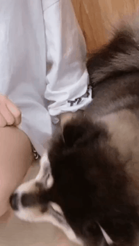 |搞笑GIF段子:妹子没毁容吧,劲没使对