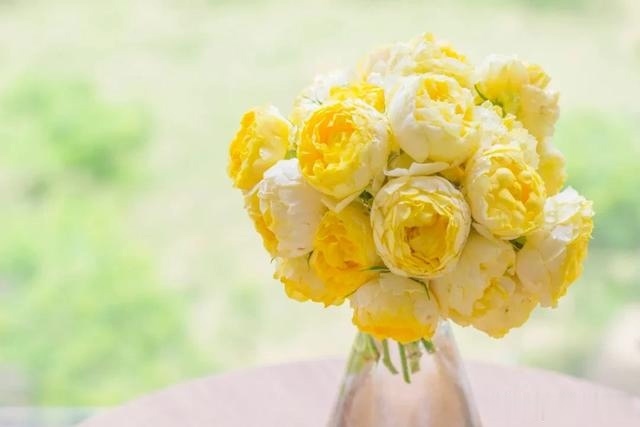 圆滚滚的绣球，瀑布般的花墙，这届花友也太会种花了吧